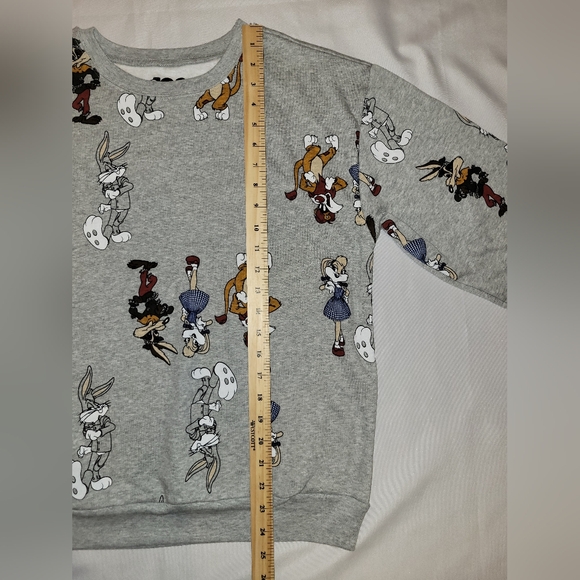 WB Sweatshirt Juniors Small Looney Tunes 100 Year Sweater Gray With Characters - Picture 7 of 8